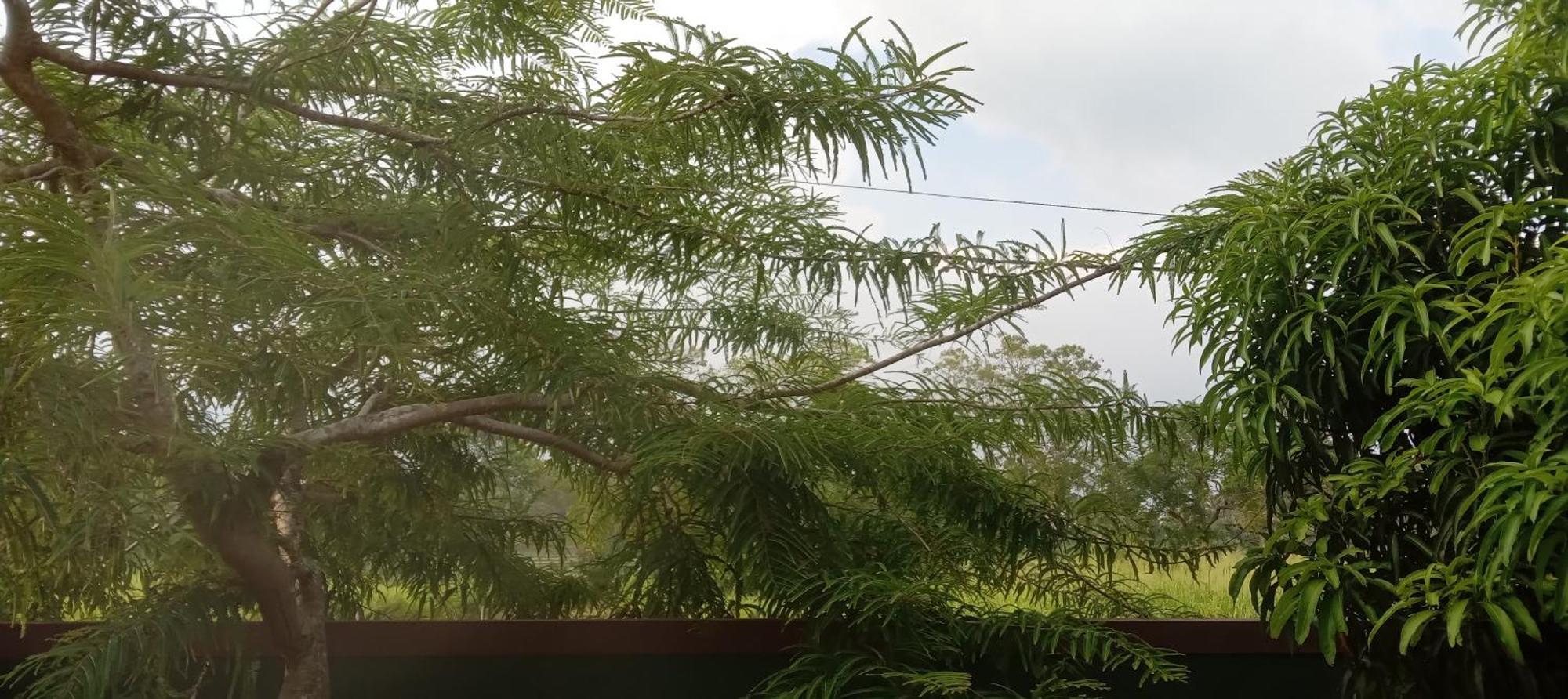 Bliss Lake, Holiday Bungalow, Thissawewa أنرادابورام المظهر الخارجي الصورة